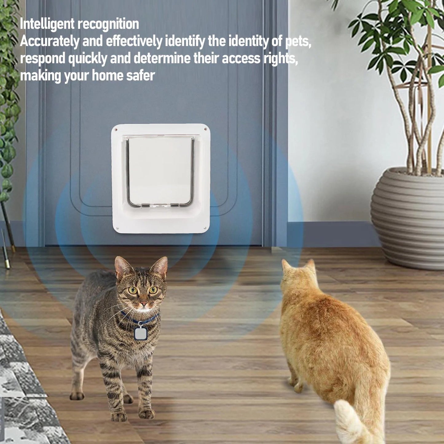 Gattaiola Automatica Con Microchip
