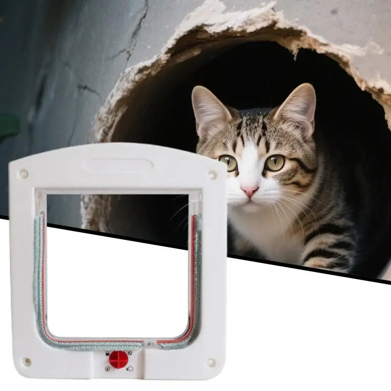 Gattaiola Bianca Con Microchip