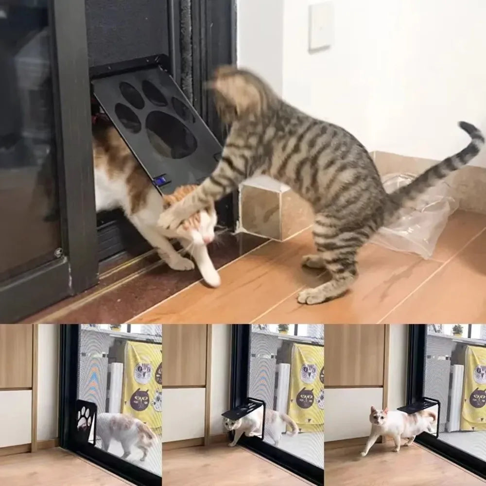 Gattaiola Con Zanzariera Per Gatti