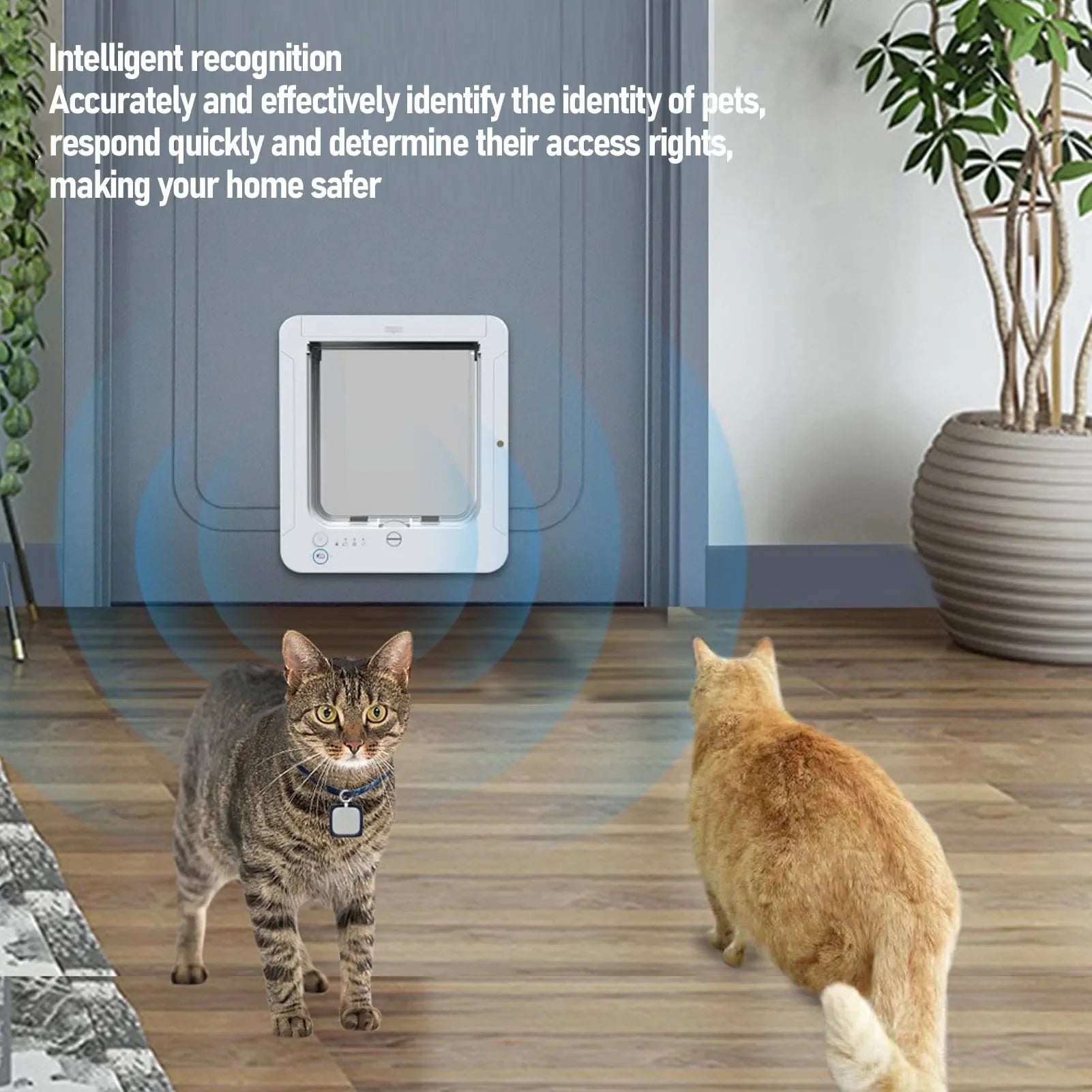 Gattaiola Connessa Con Microchip