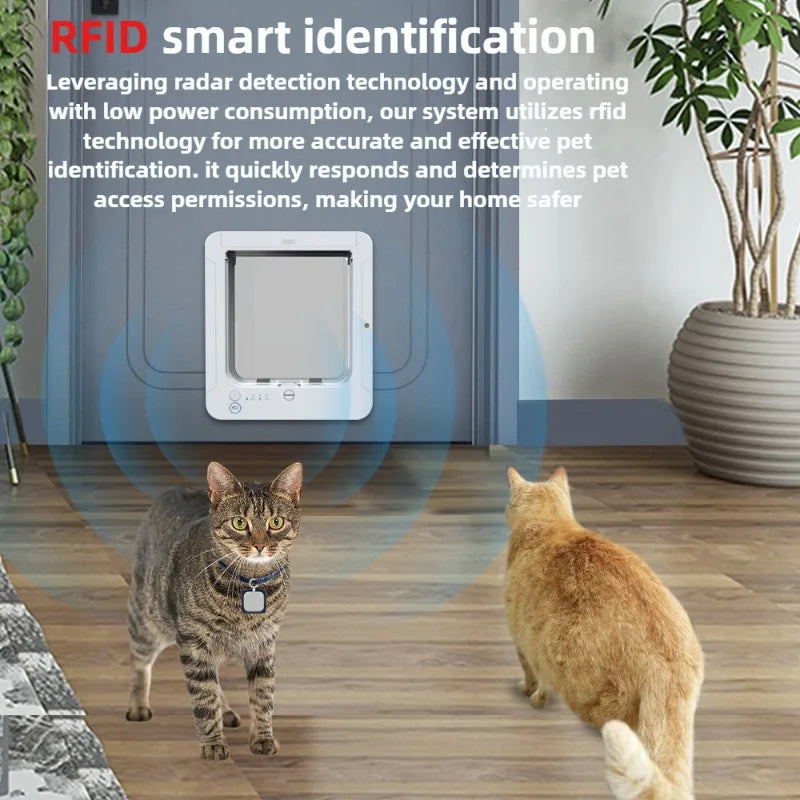 Gattaiola Microchip Per Gatti