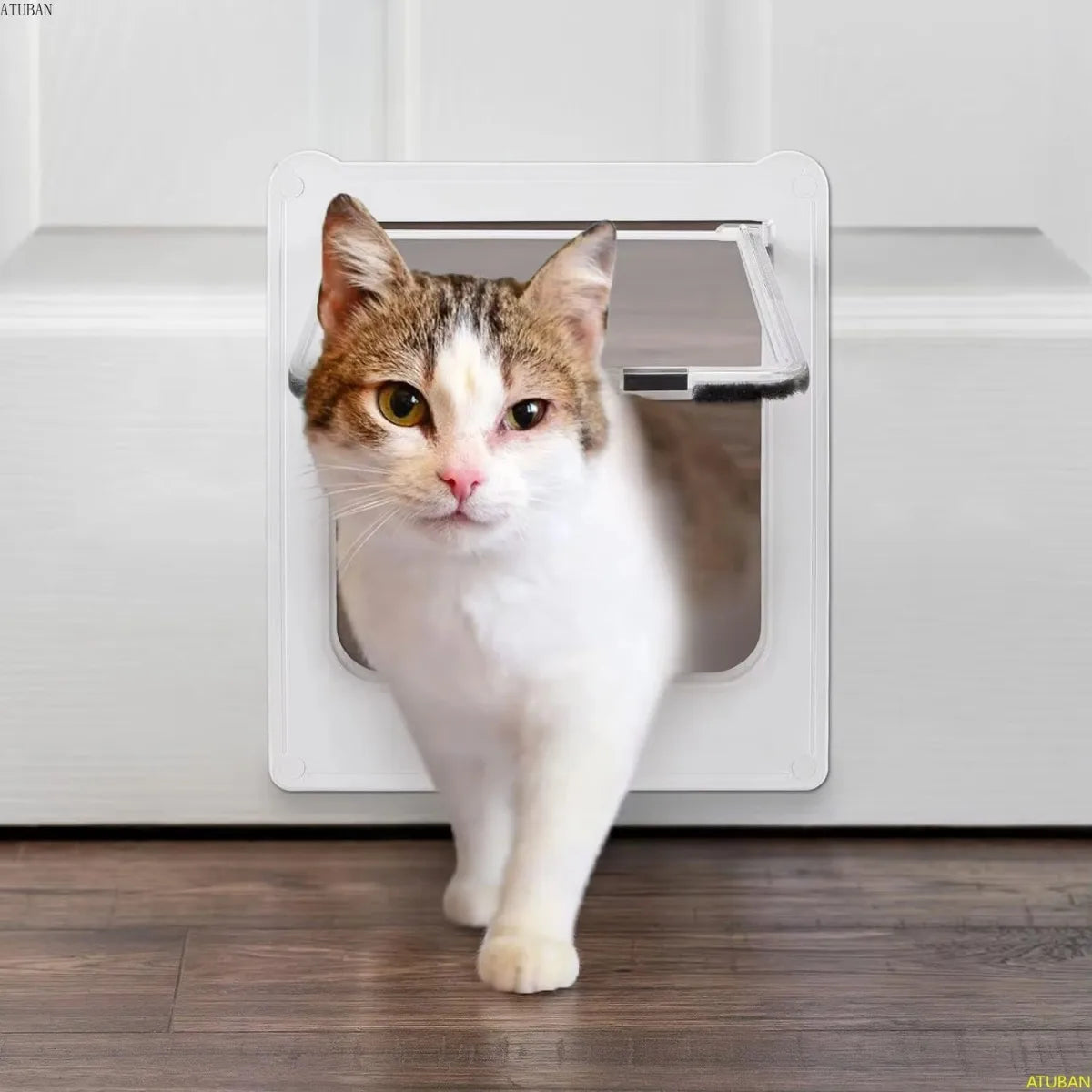 Gattaiola Per Porta Interna Per Gatti