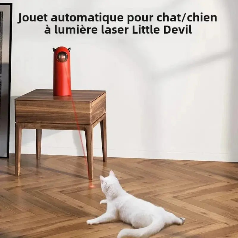 Giochi Interattivi Per Gatti Divertente