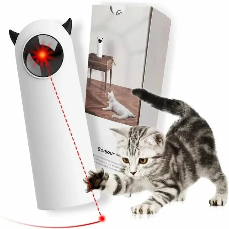 Giochi Interattivi Per Gatti