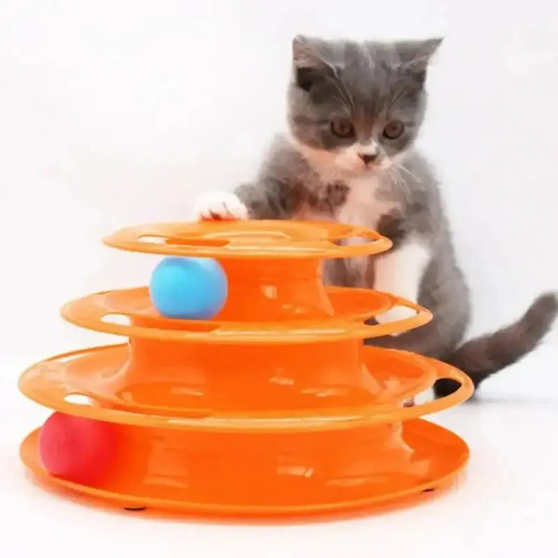 Giochi Per Gatti Annoiati Divertente