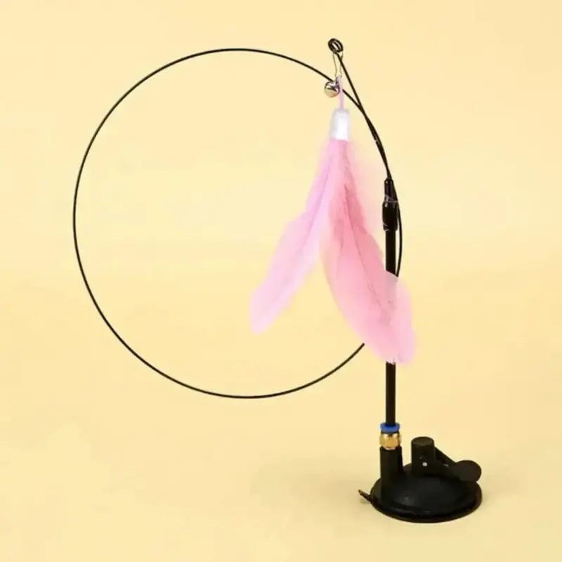 Giochi Per Gatti Con Piume Anti Noia