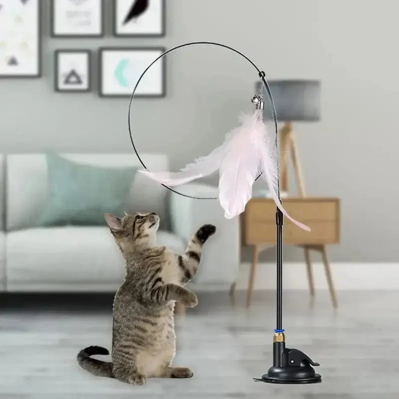 Giochi Per Gatti Con Piume Interattivo