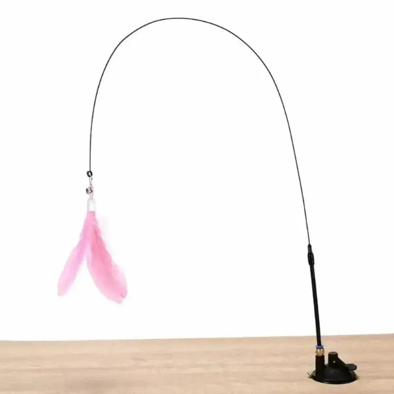 Giochi Per Gatti Con Piume Resistente
