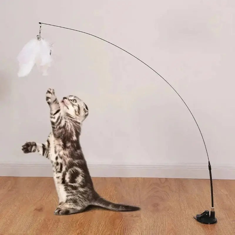 Giochi Per Gatti Con Piume
