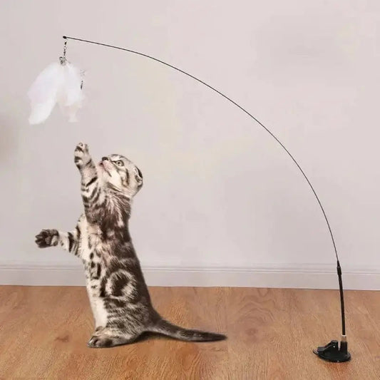 Giochi Per Gatti Con Piume
