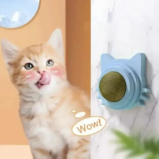Gioco Da Parete Per Gatti