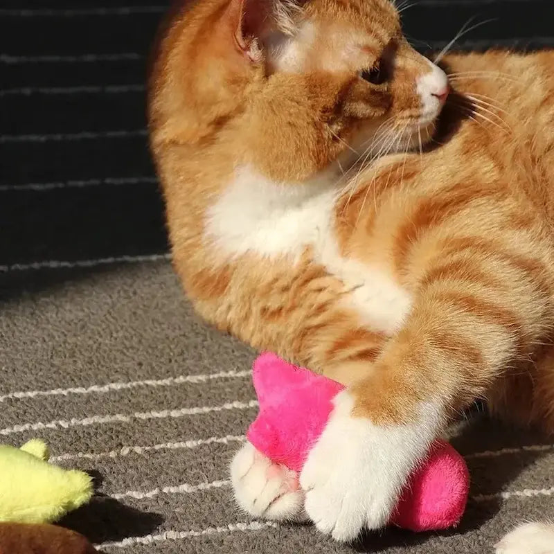 Gioco Per Gatti Anti Noia