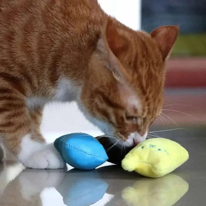 Gioco Per Gatti Divertente