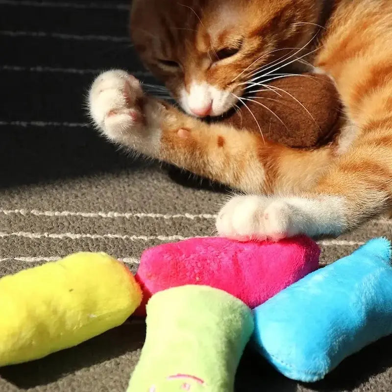Gioco Per Gatti Interattivo