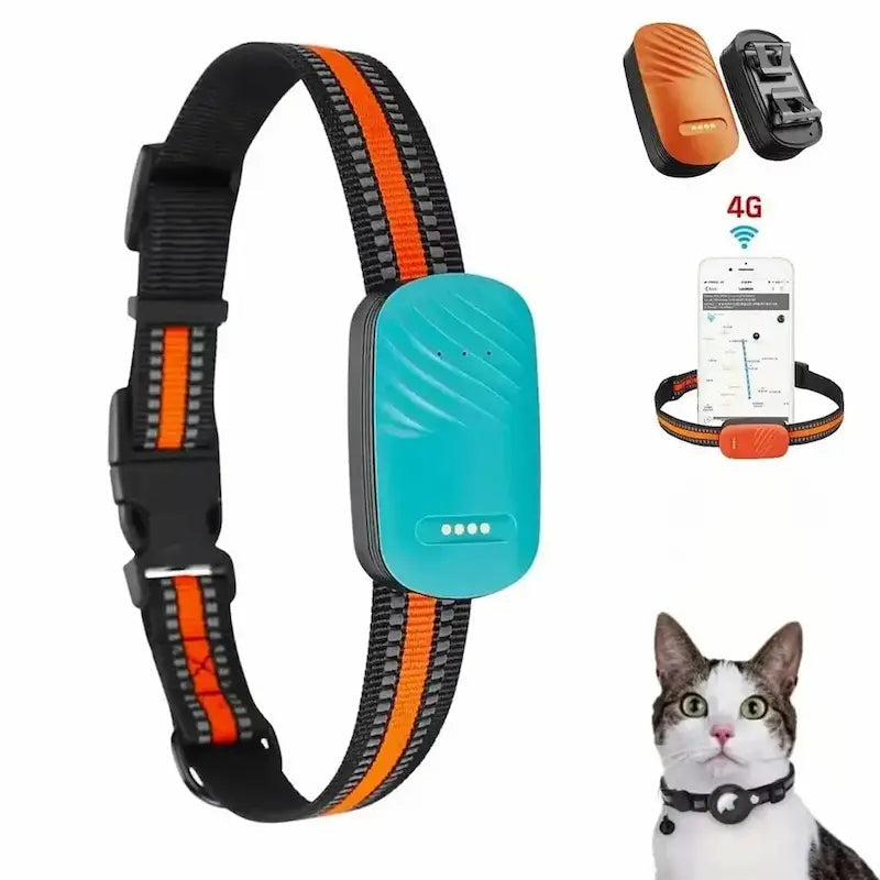 GPS Per Gatti