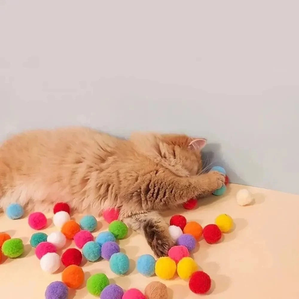 Lanciapalle Per Gatti Divertente