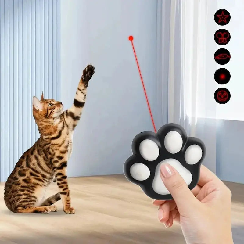 Laser Per Gatti Divertente