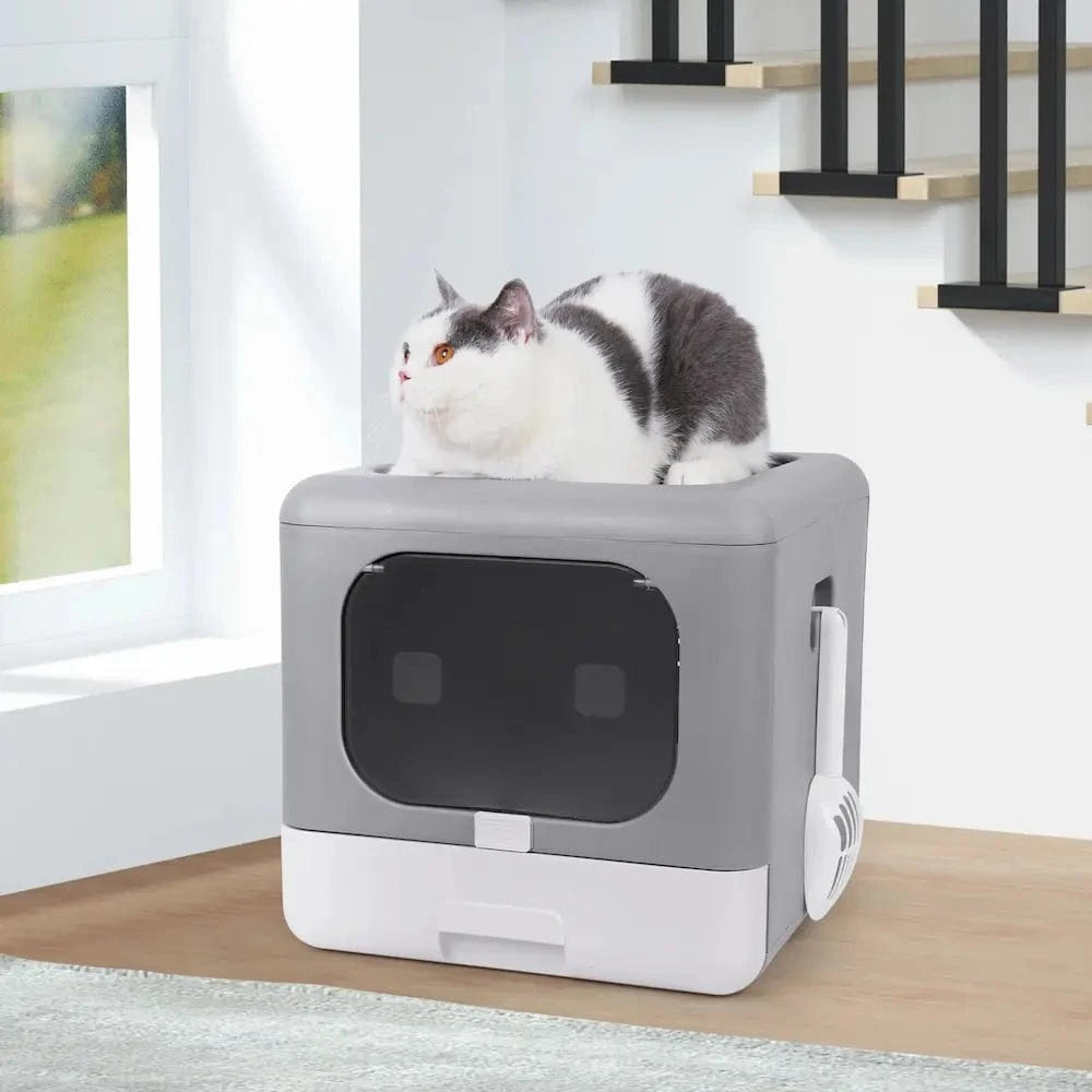 Lettiera A Cubo Per Gatti