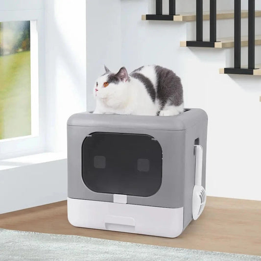 Lettiera A Cubo Per Gatti
