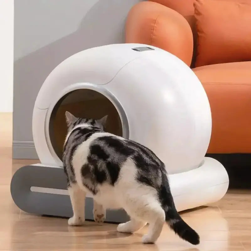Lettiera Autopulente Per Gatti Autopulente