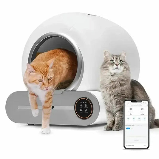 Lettiera Autopulente Per Gatti