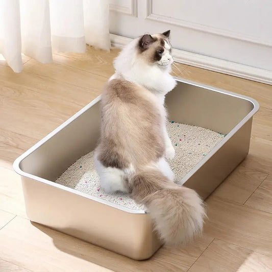 Lettiera Inox Per Gatti