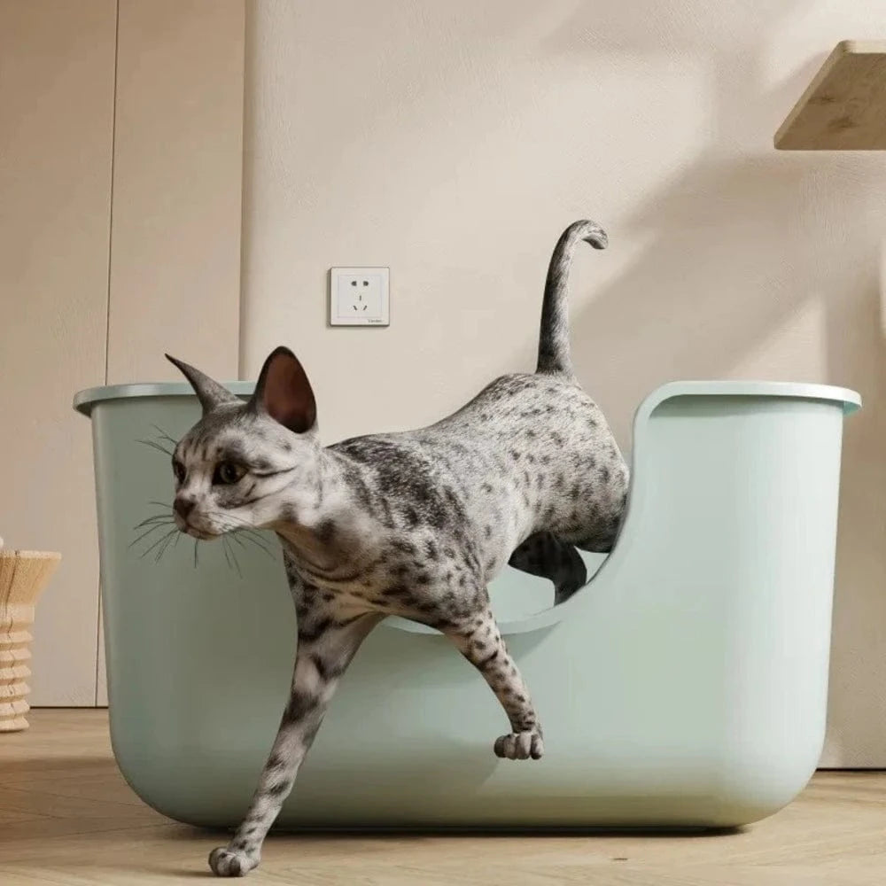 Lettiera Per Maine Coon Anti Odore