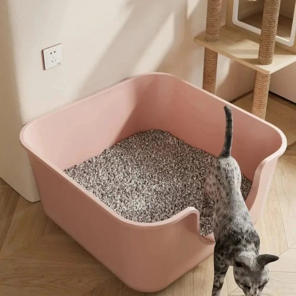 Lettiera Per Maine Coon Autopulente