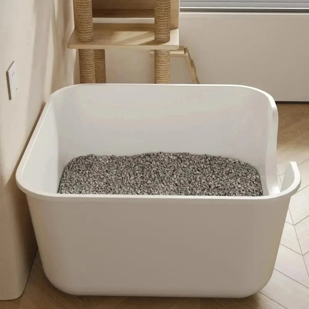 Lettiera Per Maine Coon Chiusa