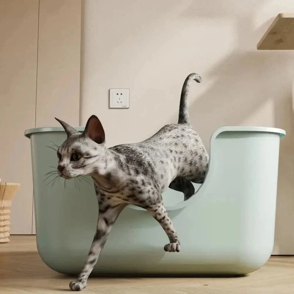 Lettiera Per Maine Coon Per Gatti