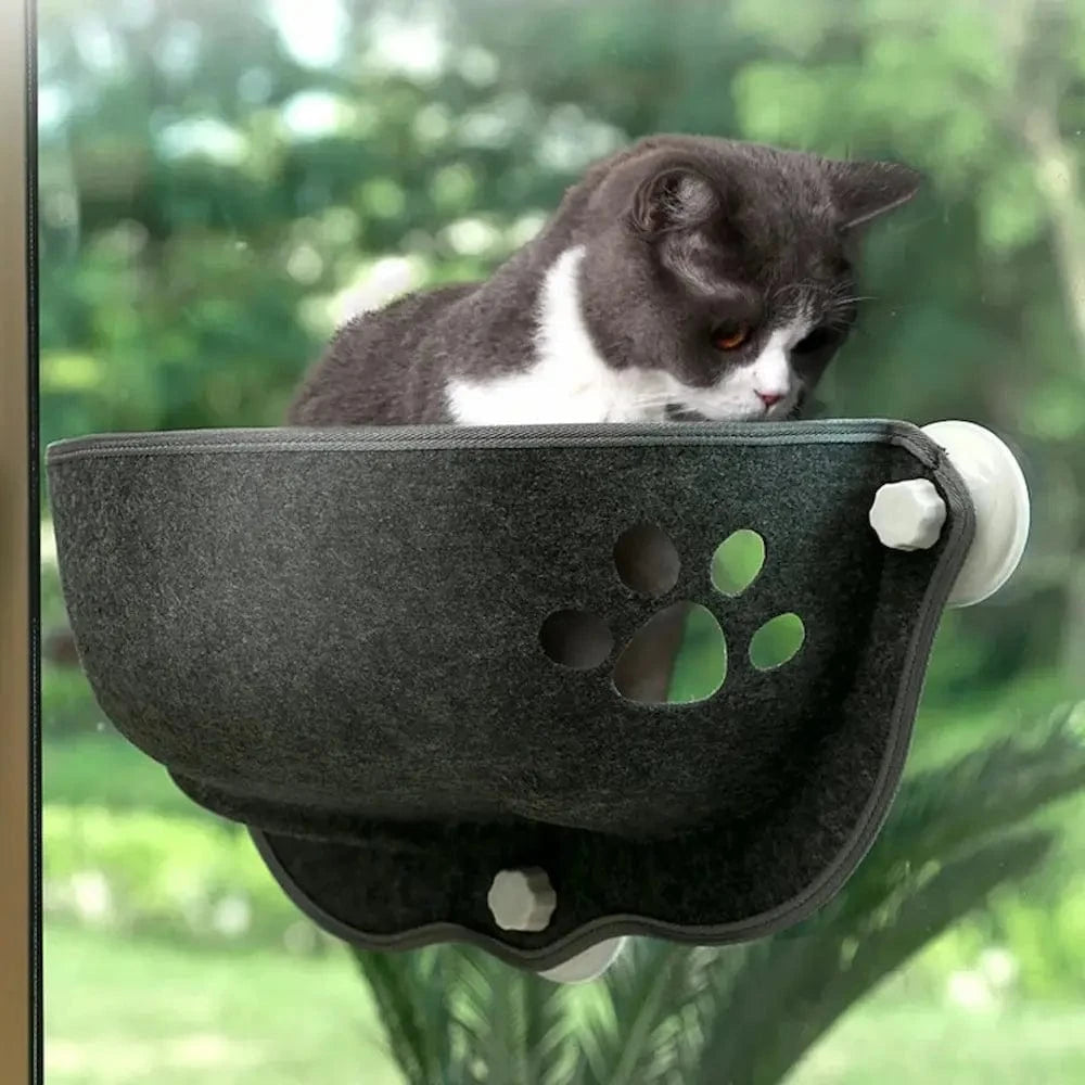 Lettino Da Finestra Per Gatti Comoda