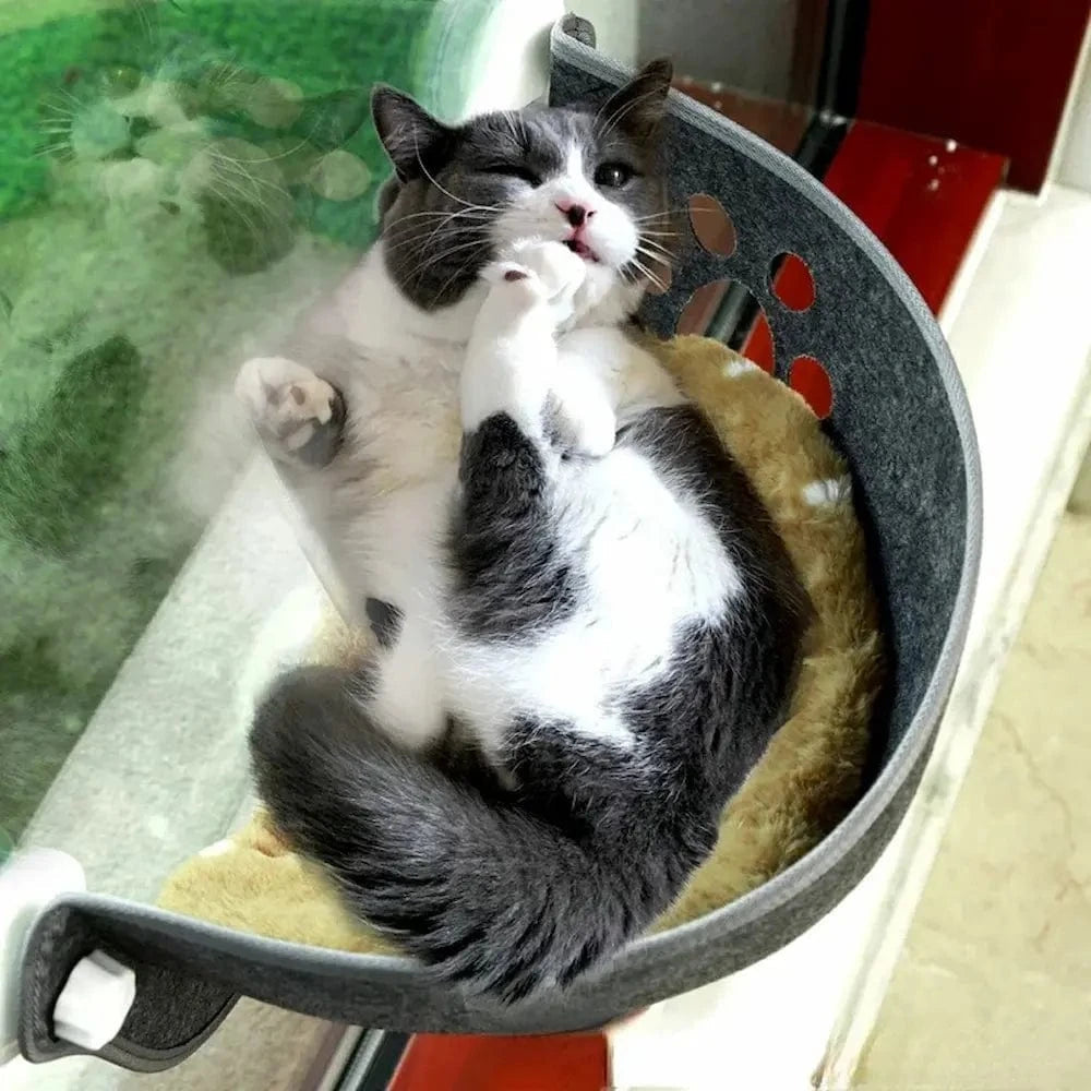 Lettino Da Finestra Per Gatti Morbida