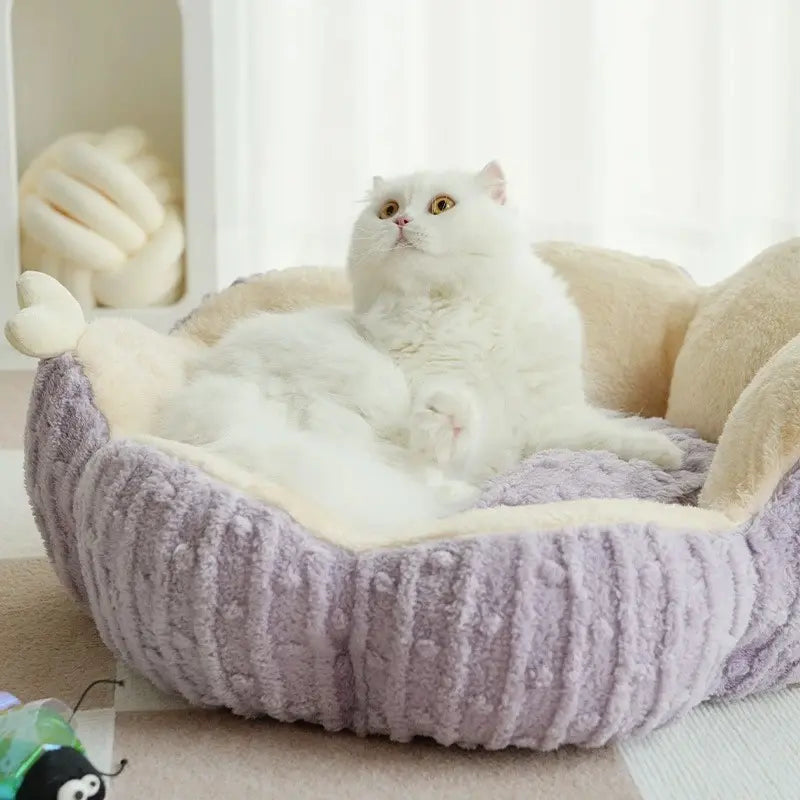 Lettino Per Gatti In Cuccia