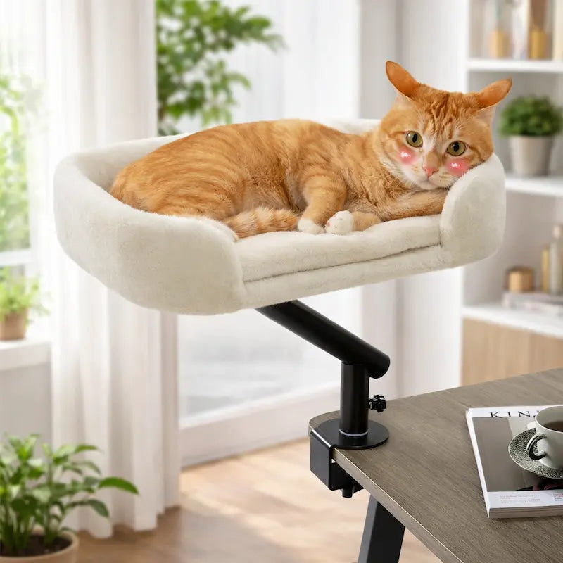 Lettino Per Gatto Per Gatti