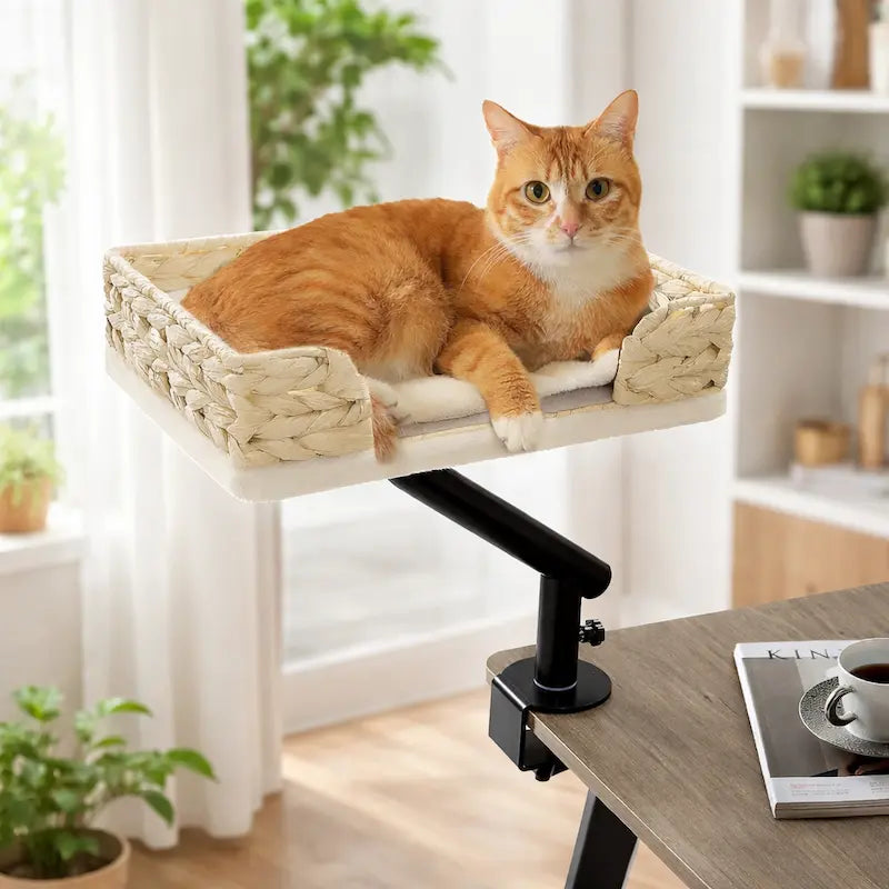 Lettino Per Gatto