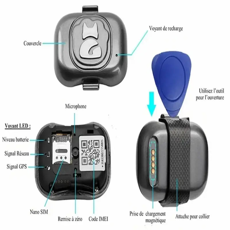 Localizzatore GPS Gatto Con App