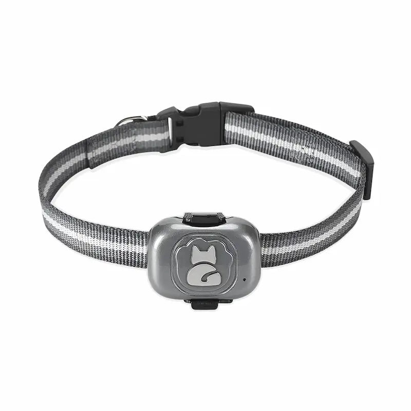 Localizzatore GPS Gatto In Tempo Reale