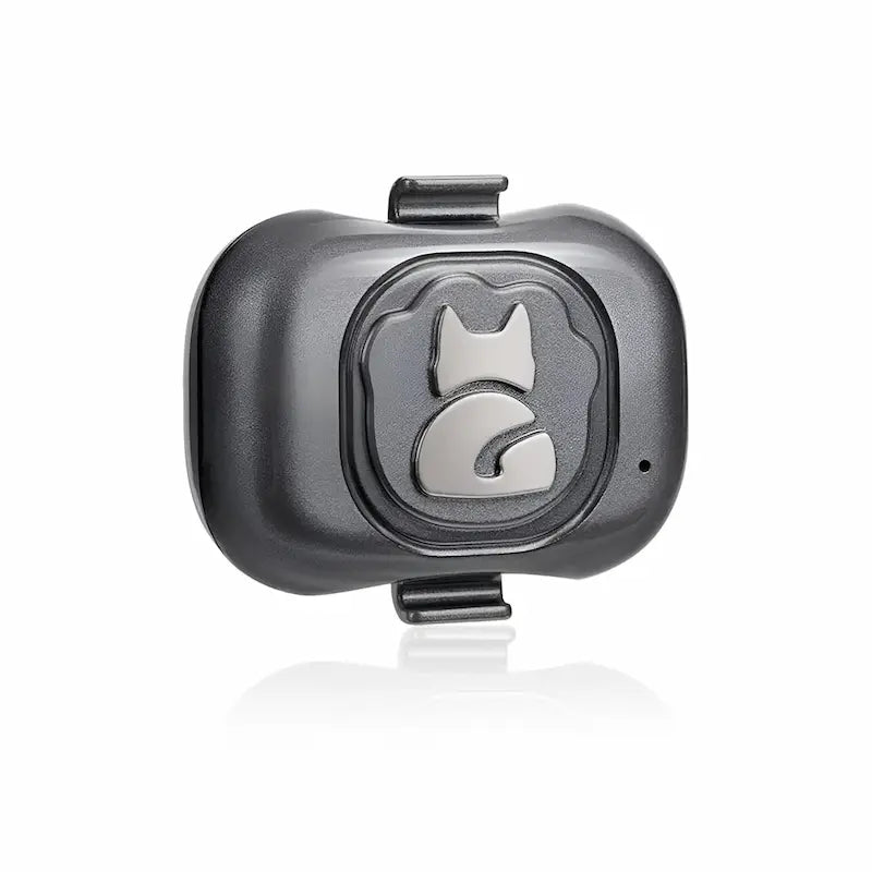 Localizzatore GPS Gatto Leggero