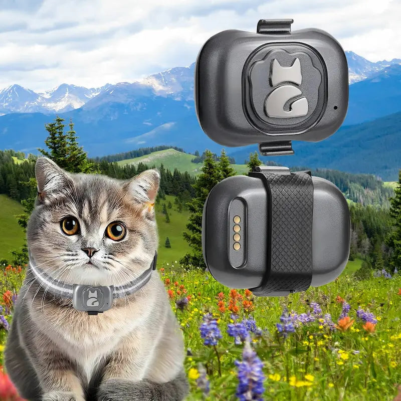 Localizzatore GPS Gatto Per Gatti