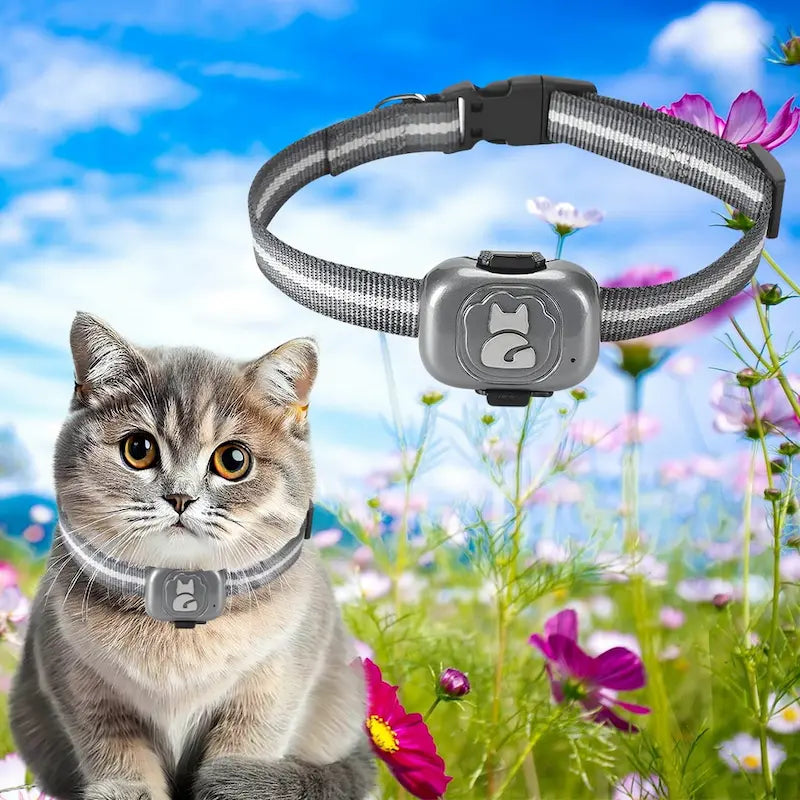 Localizzatore GPS Gatto