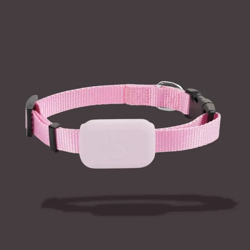 Localizzatore Per Gatti Impermeabile