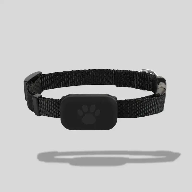 Localizzatore Per Gatti Leggero