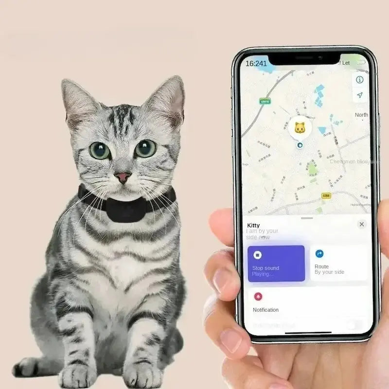 Localizzatore Per Gatti