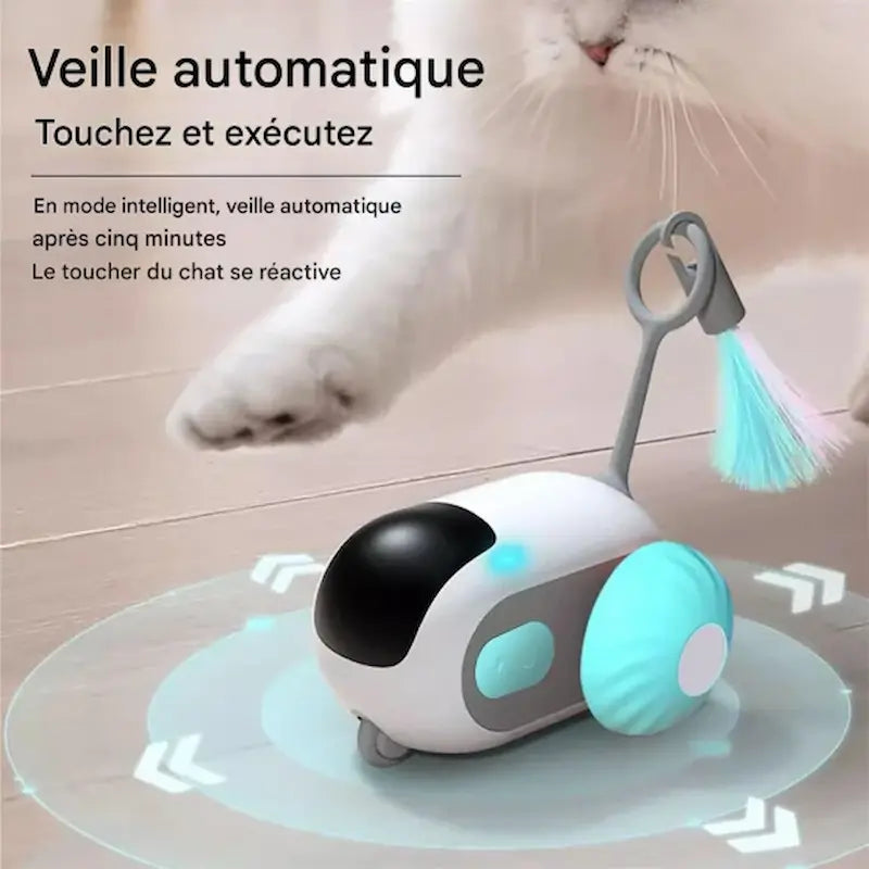 Macchina Telecomandata Per Gatti Per Gattini