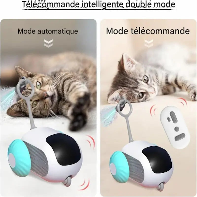 Macchina Telecomandata Per Gatti Resistente