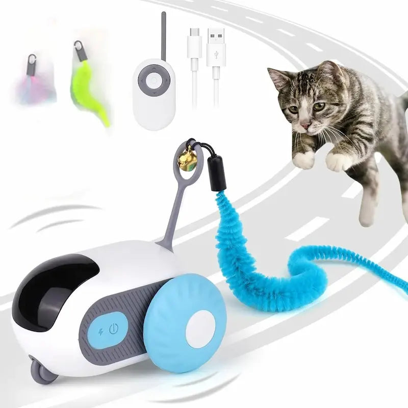 Macchina Telecomandata Per Gatti