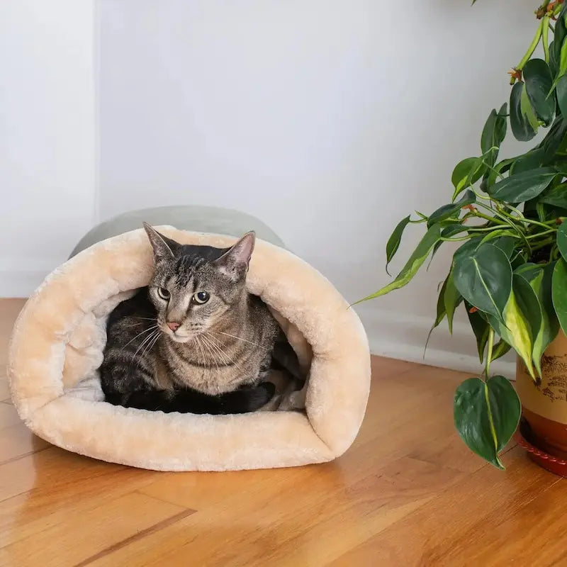 Nido Per Gatti Comoda