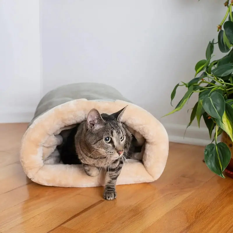 Nido Per Gatti