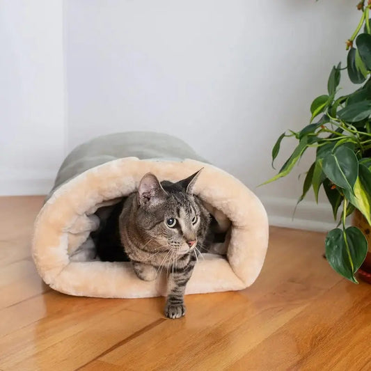 Nido Per Gatti