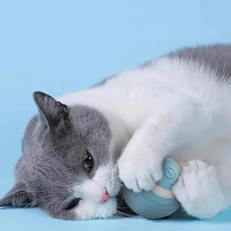 Pallina Interattiva Per Gatti Anti Noia